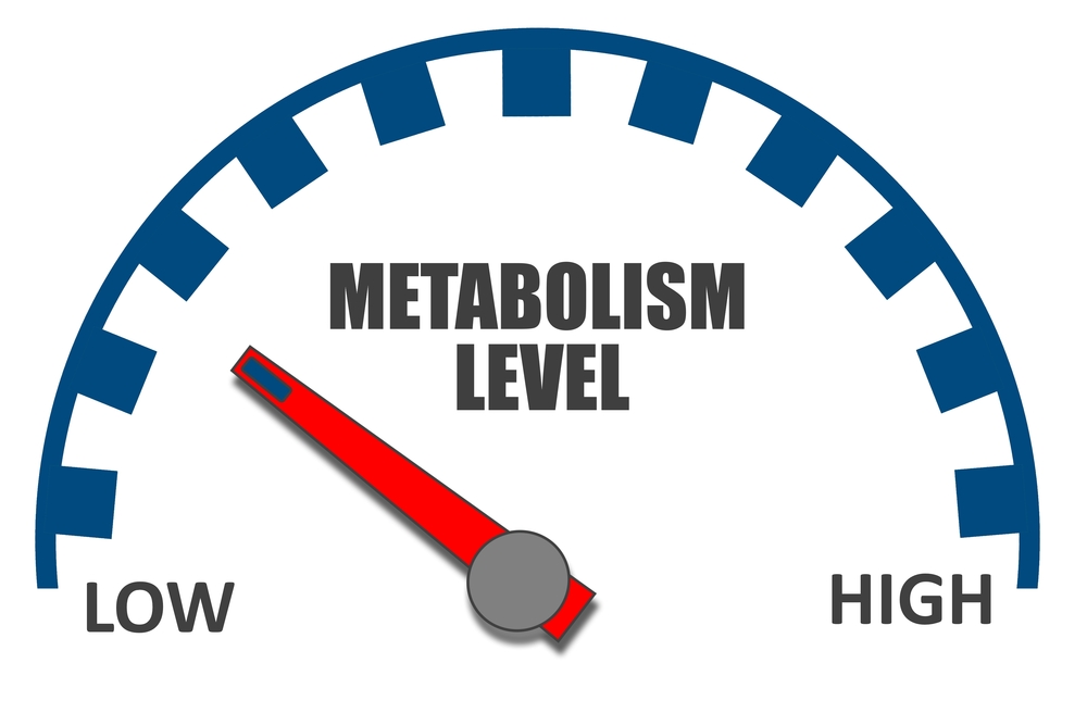 New Research says age doesn’t slow metabolism