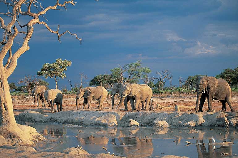 Namibia Best Places to Enjoy Nature 